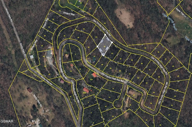 LOT62 Old Smoky High Top Rd, Cosby TN, 37722 land for sale