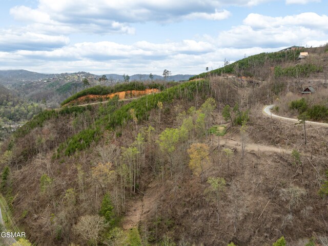 0 Long Branch Rd, Gatlinburg, TN 37738