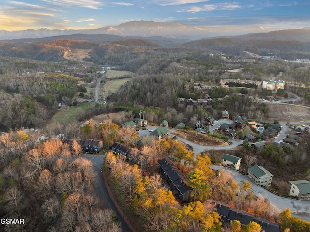 bird's eye view featuring a mountain view