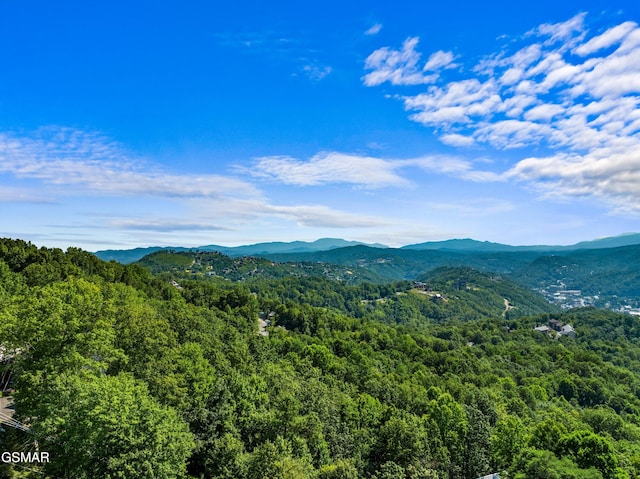 property view of mountains