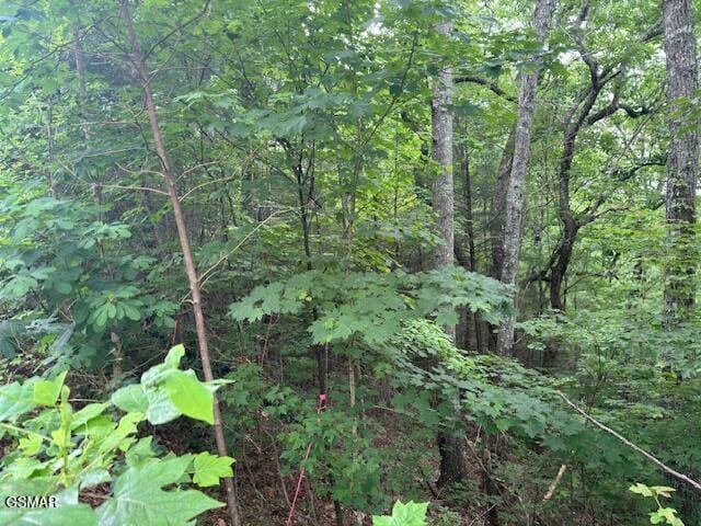2808 Grist Mill Ln, Sevierville, TN 37862