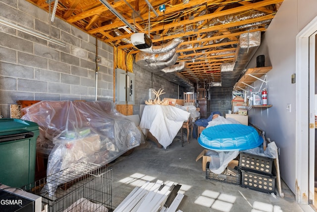 basement featuring electric panel