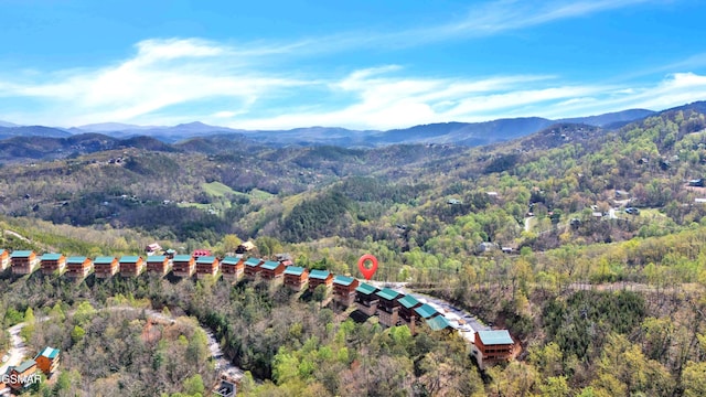 aerial view with a mountain view and a view of trees