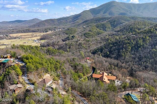 birds eye view of property featuring a mountain view