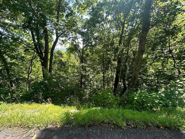 Listing photo 3 for LOT2 Overholt Trl, Sevierville TN 37862