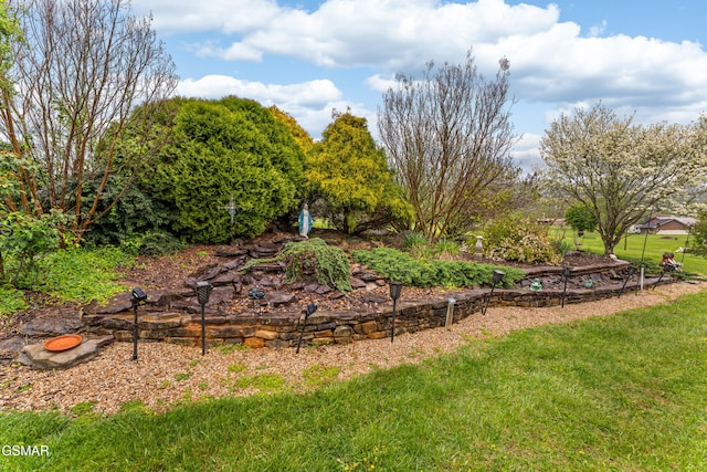 3351 Line Springs Rd, Sevierville, TN 37862 - view of grassy yard