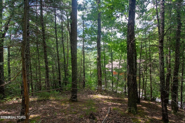 LOT0013 High Top Loop, Sevierville TN, 37862 land for sale