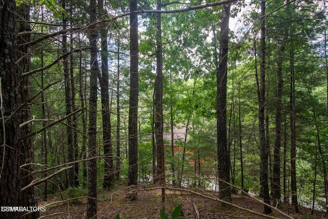 Listing photo 3 for LOT0013 High Top Loop, Sevierville TN 37862