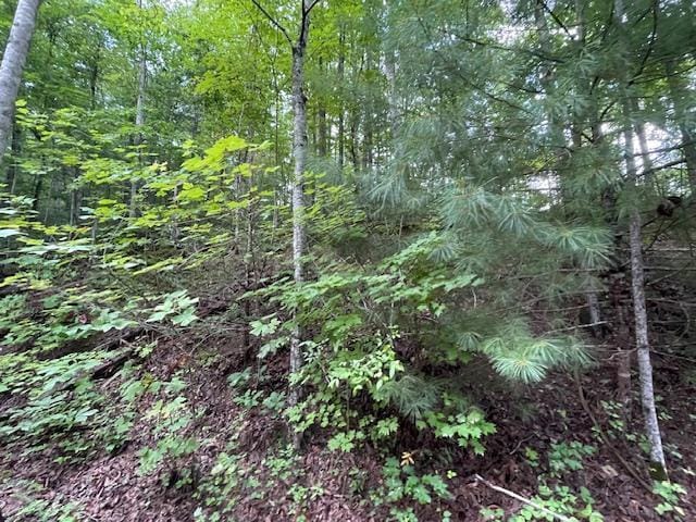 Listing photo 3 for LOT51 Yellowwood Dr, Sevierville TN 37876