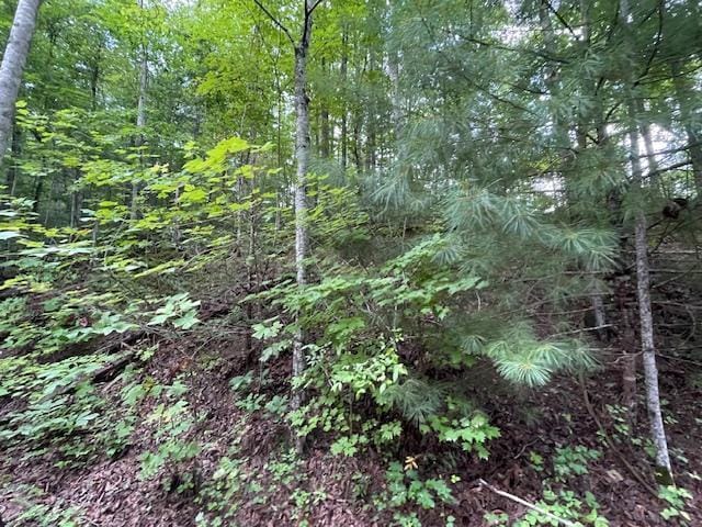 LOT51 Yellowwood Dr, Sevierville, TN 37876 - photo 3