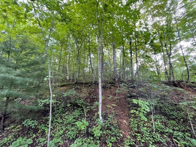 LOT51 Yellowwood Dr, Sevierville, TN 37876 - photo 4