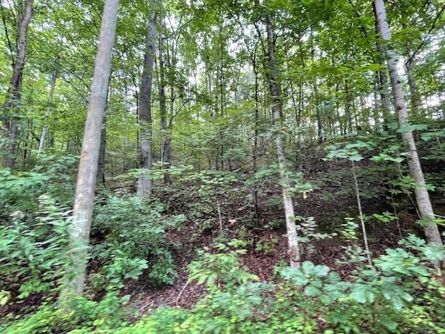 LOT51 Yellowwood Dr, Sevierville TN, 37876 land for sale