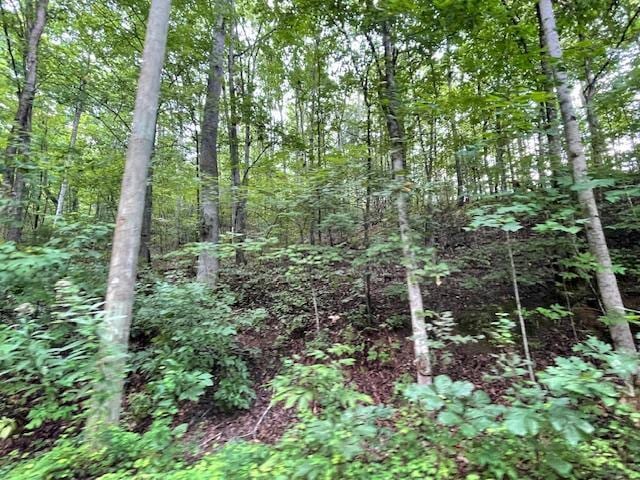 LOT51 Yellowwood Dr, Sevierville, TN 37876 - photo 1