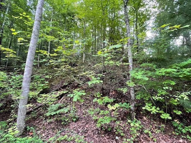 Listing photo 2 for LOT51 Yellowwood Dr, Sevierville TN 37876