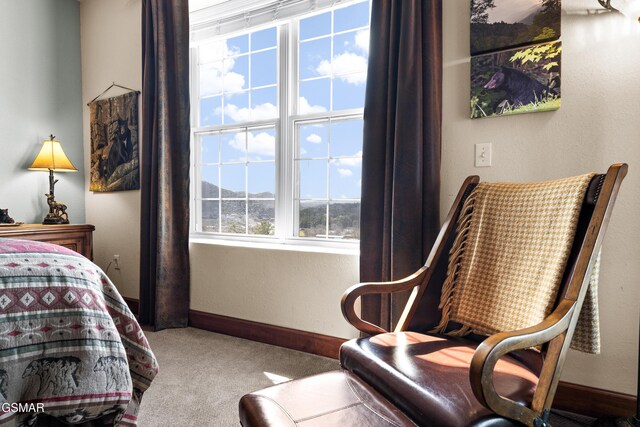 bedroom with carpet and baseboards