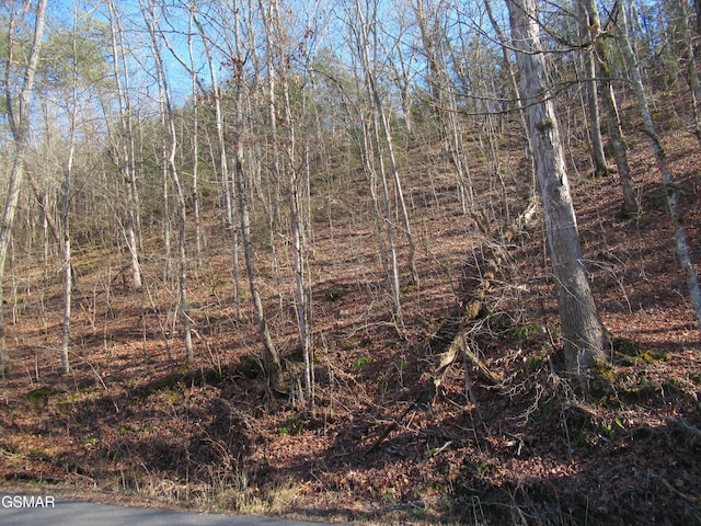 13ACRES Kerr Rd, Sevierville TN, 37876 land for sale