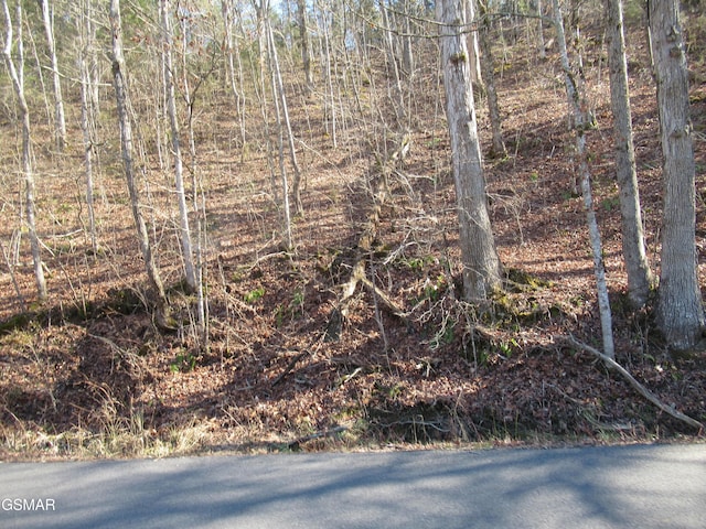 Listing photo 3 for 13ACRES Kerr Rd, Sevierville TN 37876