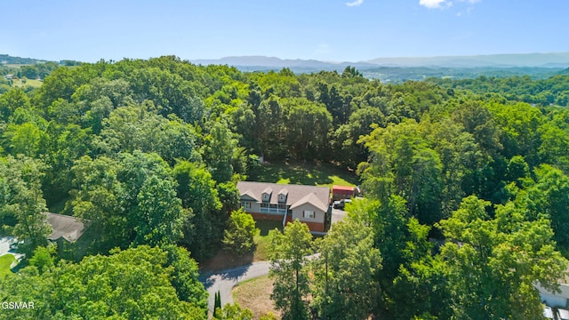 631 Rock House Rd, Kodak, TN 37764 - photo 36