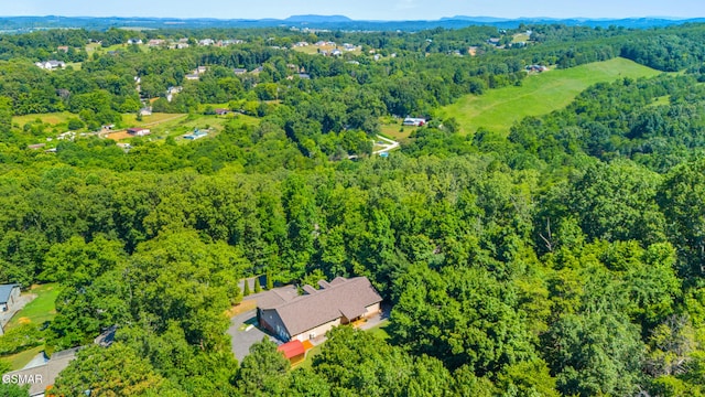 631 Rock House Rd, Kodak, TN 37764 - photo 41