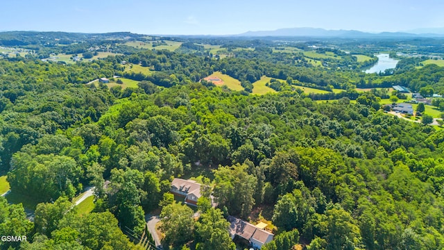 631 Rock House Rd, Kodak, TN 37764 - photo 42