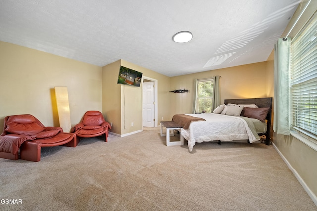 631 Rock House Rd, Kodak, TN 37764 - photo 22