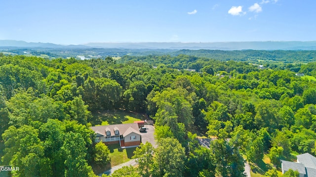 631 Rock House Rd, Kodak, TN 37764 - photo 43