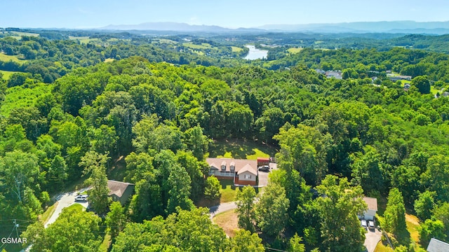 631 Rock House Rd, Kodak, TN 37764 - photo 37