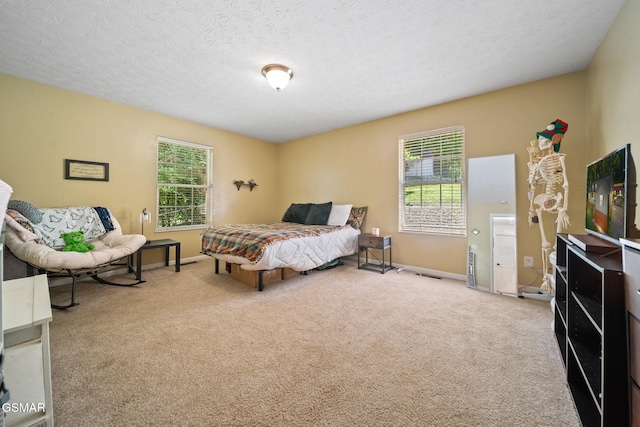 631 Rock House Rd, Kodak, TN 37764 - photo 25
