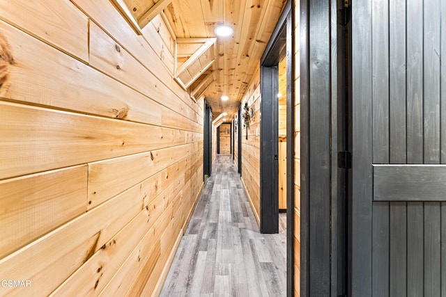 hallway featuring wood walls and wood finished floors
