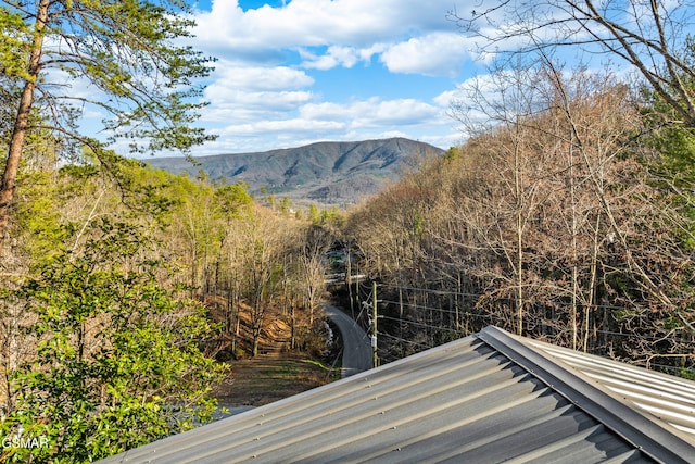 mountain view