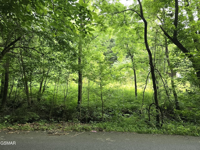 LOT8 Mccarter Hollow Rd, Sevierville, TN 37876
