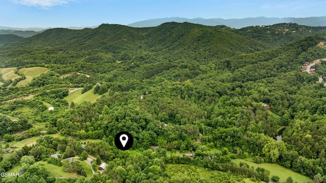 LOT8 Mccarter Hollow Rd, Sevierville, TN 37876