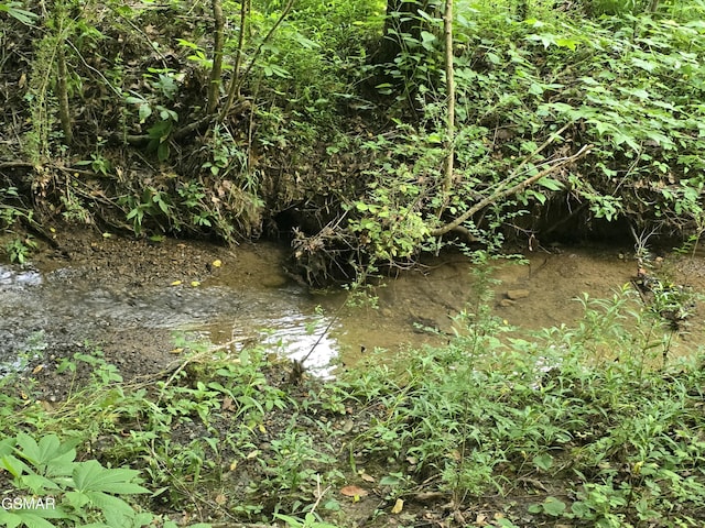 LOT8 Mccarter Hollow Rd, Sevierville, TN 37876