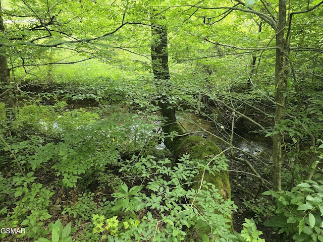 LOT8 Mccarter Hollow Rd, Sevierville, TN 37876