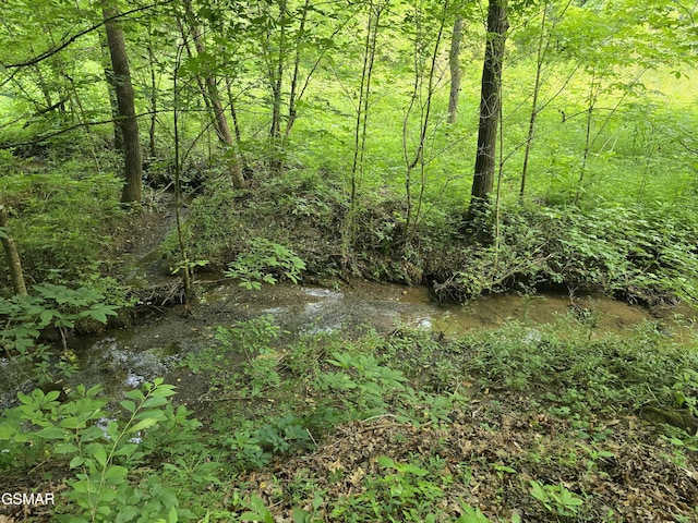 LOT8 Mccarter Hollow Rd, Sevierville, TN 37876