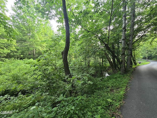 LOT8 Mccarter Hollow Rd, Sevierville, TN 37876