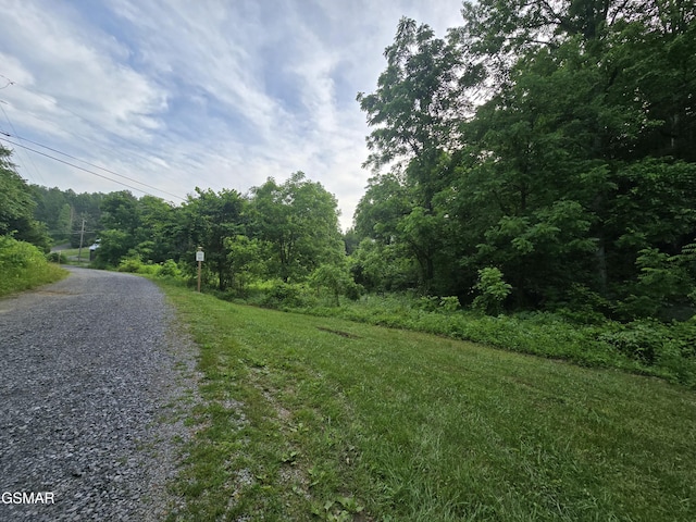 LOT8 Mccarter Hollow Rd, Sevierville, TN 37876