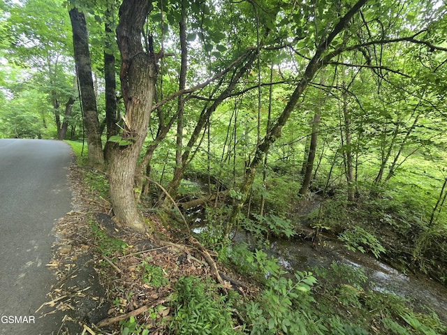 LOT8 Mccarter Hollow Rd, Sevierville, TN 37876