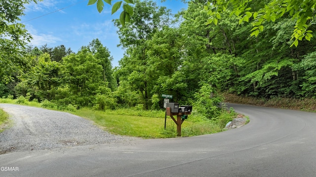 LOT8 Mccarter Hollow Rd, Sevierville, TN 37876