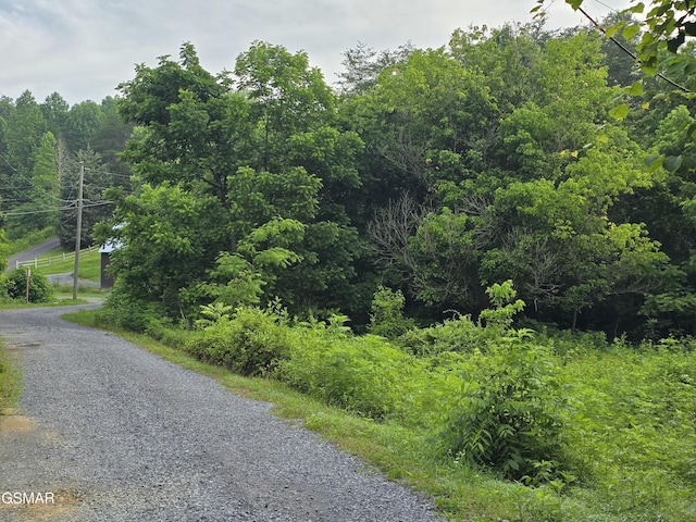 LOT8 Mccarter Hollow Rd, Sevierville, TN 37876