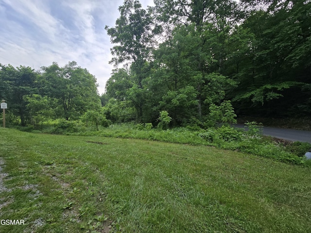 LOT8 Mccarter Hollow Rd, Sevierville, TN 37876