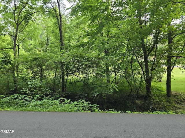 LOT8 Mccarter Hollow Rd, Sevierville, TN 37876