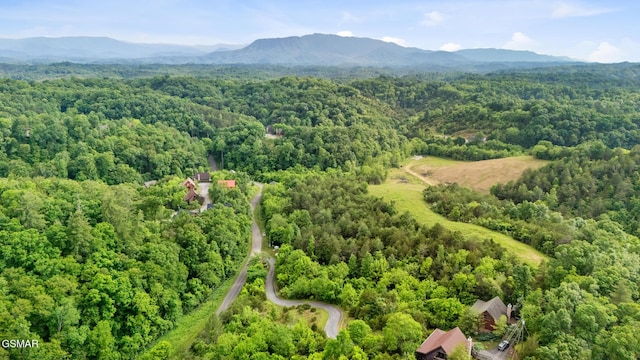 LOT159 Eagle Feather Dr, Sevierville, TN 37876 - photo 9
