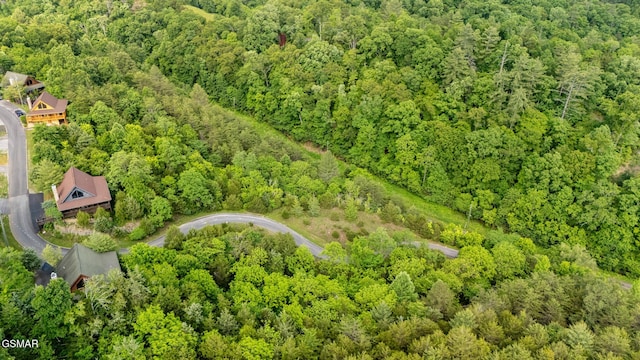 LOT159 Eagle Feather Dr, Sevierville, TN 37876 - photo 14