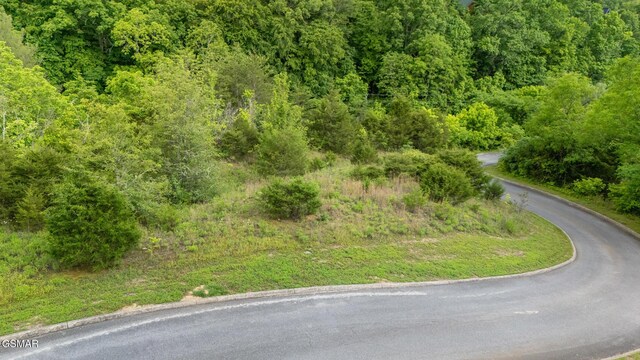 LOT159 Eagle Feather Dr, Sevierville, TN 37876 - photo 2