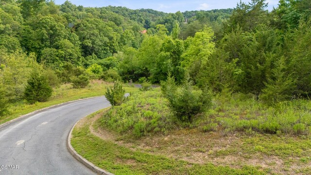 LOT159 Eagle Feather Dr, Sevierville, TN 37876 - photo 13
