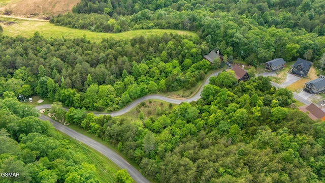LOT159 Eagle Feather Dr, Sevierville, TN 37876 - photo 8
