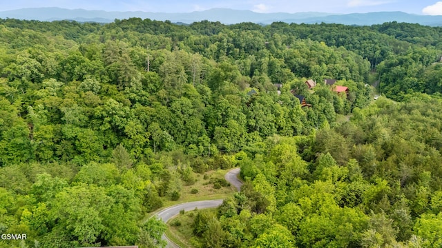 LOT159 Eagle Feather Dr, Sevierville, TN 37876 - photo 3