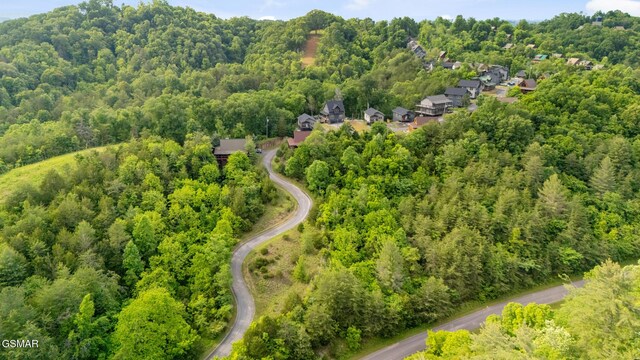 LOT159 Eagle Feather Dr, Sevierville, TN 37876 - photo 7