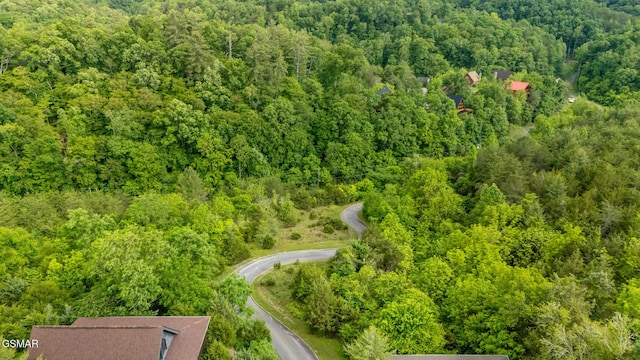 LOT159 Eagle Feather Dr, Sevierville, TN 37876 - photo 10